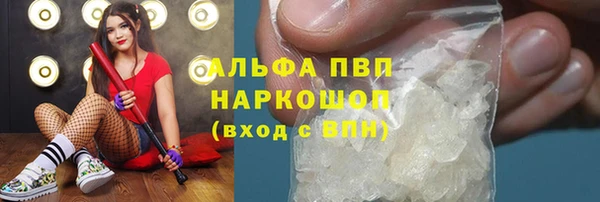 шишки Приозерск