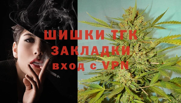 шишки Приозерск