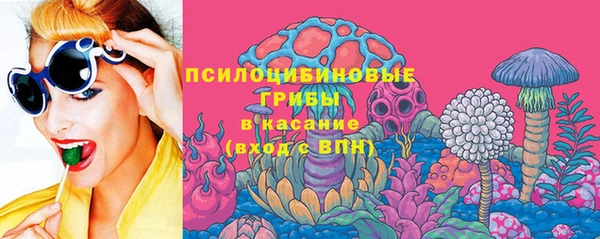 шишки Приозерск