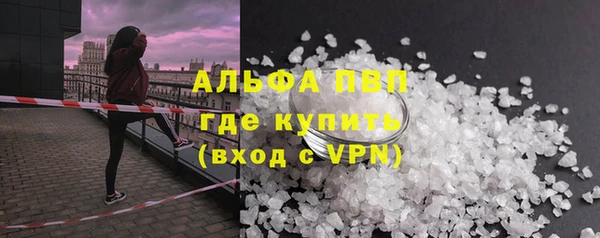 шишки Приозерск