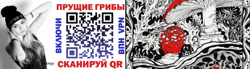 Псилоцибиновые грибы Psilocybe  купить наркотики сайты  Байкальск 